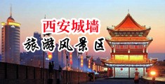 大鸡巴操骚逼啊啊啊疼死我了嗯啊嗯啊视频中国陕西-西安城墙旅游风景区